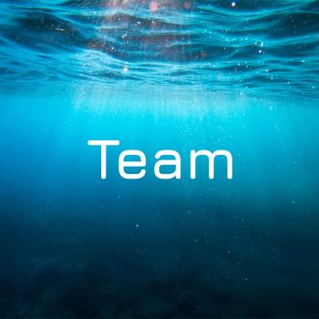 Our Team